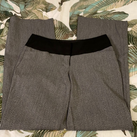 Express Dress Pants
